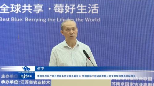 中國(guó)藍(lán)莓產(chǎn)業(yè)發(fā)展呈現(xiàn)六大態(tài)勢(shì) 社會(huì)經(jīng)濟(jì)咨詢視角